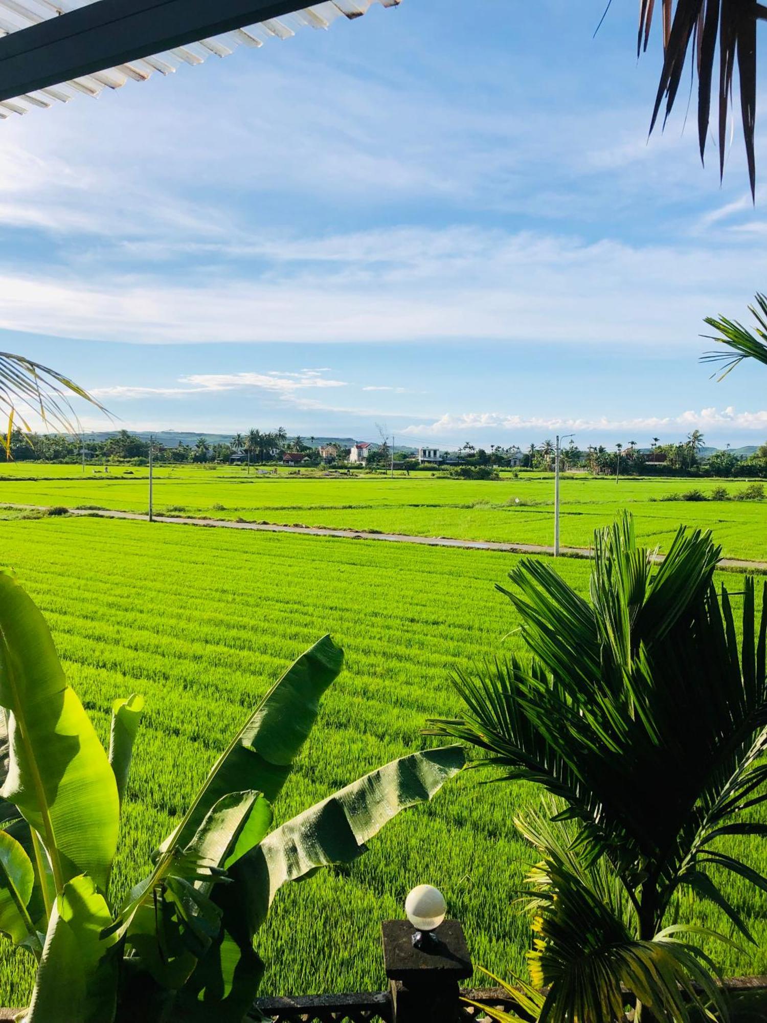 Countryside Homestay Quảng Ngãi Buitenkant foto
